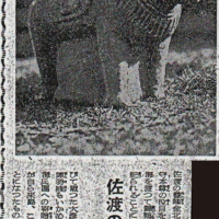 山城豊作氏(1899～1983)にいただいた写真（当該記事のみトリミング）