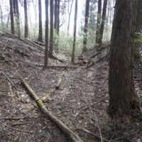 古道（鳥居の原）