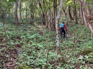 沢を渡ってからも踏み跡ははっきりしない