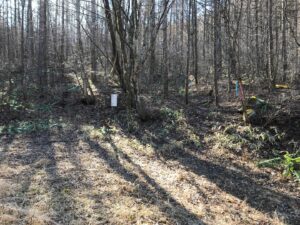 登山道起点