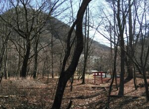 鳥居と祠が見えてくると榛名湖畔は近い