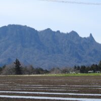 東側から望む金鶏山全景（右端が筆頭岩）