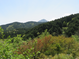 見晴台からの眺望