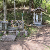 足柄明神社の白い馬