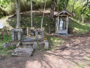 足柄明神社の白い馬