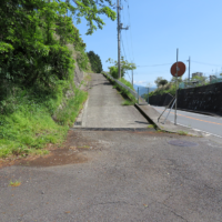 県道を渡る