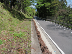 定山林道