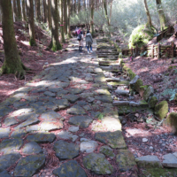 石畳の横には、排水溝が作られてある。道幅は、2間と東坂では広い。