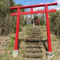 この鳥居を過ぎると東坂最後の権現坂石畳。下りなので注意。芦ノ湖が見える。