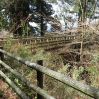 杉並木前の木製の歩道橋。橋を渡る平坦な杉並木。木々の間から芦ノ湖を臨むことができる。