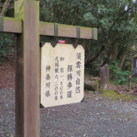 旧道を歩き、鎖雲寺、トイレを過ぎると探勝歩道入口がある。