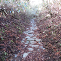 樹林の中を明石坂、釜石坂、風越坂と石畳道を登る。日が届きにくく石も滑りやすい。