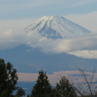 西の丸跡から富士山が正面。