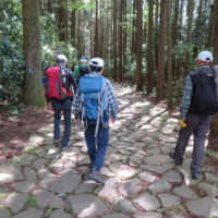 山中城址公園前の茶店の裏からの腰巻地区の復元石畳道が始まる。