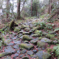 かなり傾斜のある石畳。石が丸く苔で滑りやすいので注意。