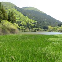 お玉ケ池湖畔の木道から見る二子山。