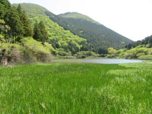 お玉ケ池湖畔の木道から見る二子山。