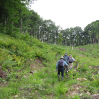 衣川林道から高倉山(左)へ