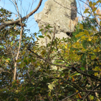 鬼石(江戸時代の名所)