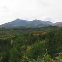 左手に釜臥山(左)を望みながら進む