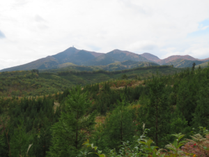 左手に釜臥山(左)を望みながら進む