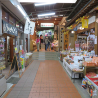 こま参道の階段を登る