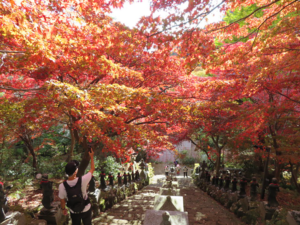 大山寺の紅葉