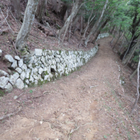 下社への御拝殿道