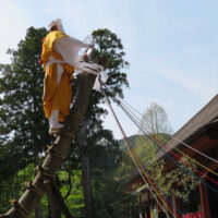 山伏の「神木のぼり」