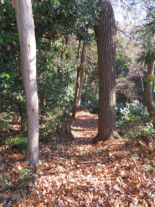 幣山への道