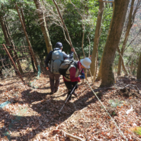 経ヶ岳の下り