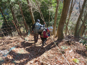 経ヶ岳の下り