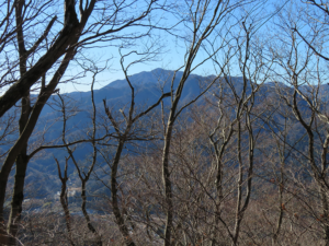 華厳山頂の景観