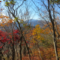 高取山山頂からの大山