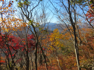 高取山山頂からの大山