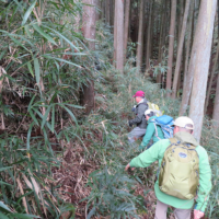 桜山へ通じる尾根に向かって藪漕ぎ