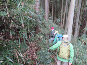 桜山へ通じる尾根に向かって藪漕ぎ