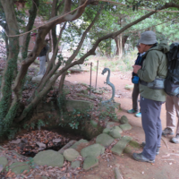 白山神社の池