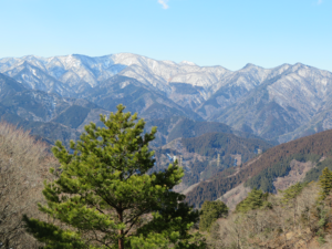 崩壊地周辺からの景色