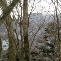 行所付近からの大山