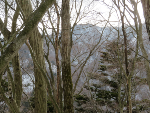 行所付近からの大山