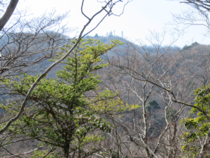 いよいよ大山