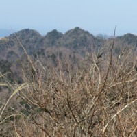 大山三峰を望む