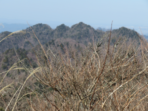 大山三峰を望む