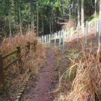 キャンプ場跡地