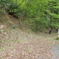 山中峠道分岐