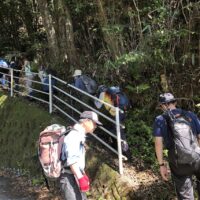 林道を歩き擁壁から再び山道に入る