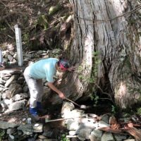 水吞茶屋跡の湧水