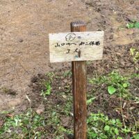 地名を記した標識