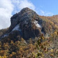 木立越しに見える子鉢山